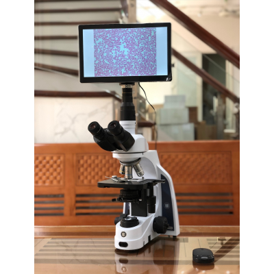 Kinh hien vi Euromex IS.1153-EPL kem camera man iPad (hình 1).jpg